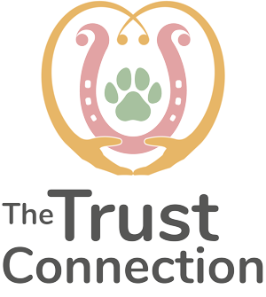 thetrustconnection.co.uk logo